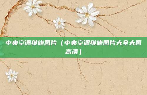 中央空调维修图片（中央空调维修图片大全大图高清）