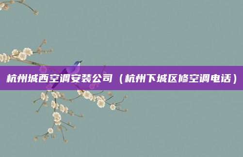 杭州城西空调安装公司(杭州下城区修空调电话)