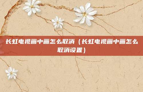 长虹电视画中画怎么取消(长虹电视画中画怎么取消设置)