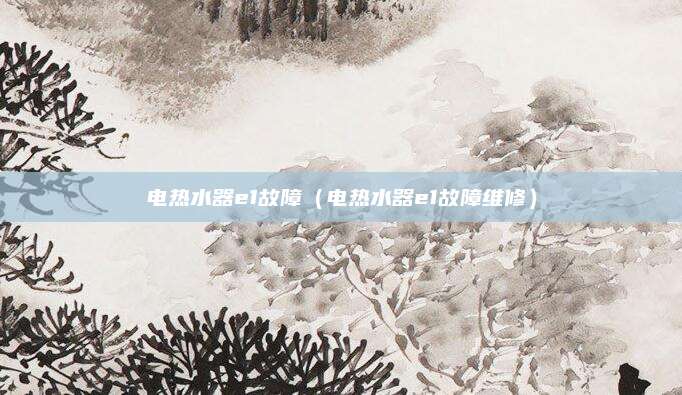 电热水器e1故障(电热水器e1故障维修)