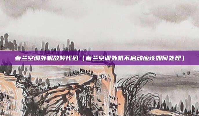 春兰空调外机故障代码（春兰空调外机不启动应该如何处理）
