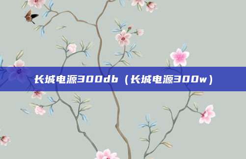 长城电源300db(长城电源300w)