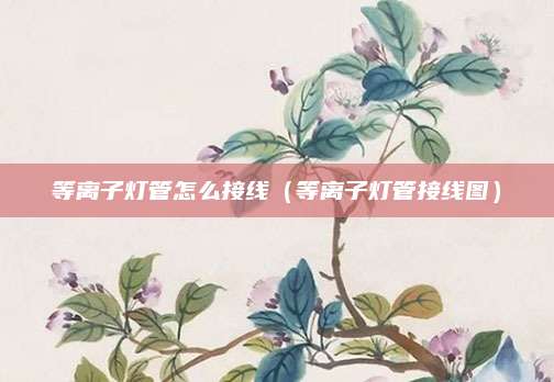 等离子灯管怎么接线(等离子灯管接线图)