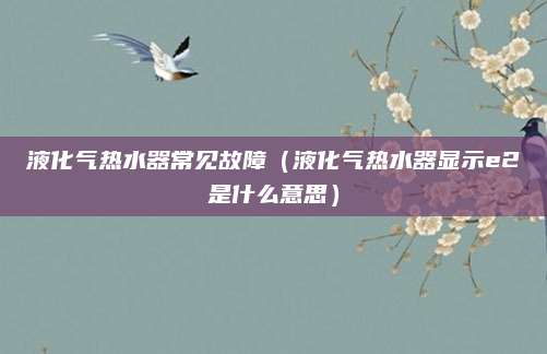 液化气热水器常见故障（液化气热水器显示e2是什么意思）