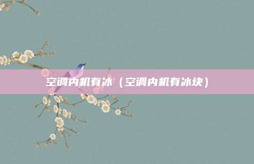 空调内机有冰（空调内机有冰块）