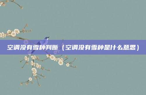 空调没有雪种判断（空调没有雪种是什么意思）