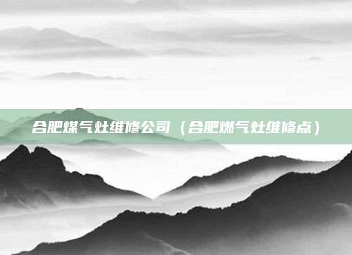 合肥煤气灶维修公司(合肥燃气灶维修点)