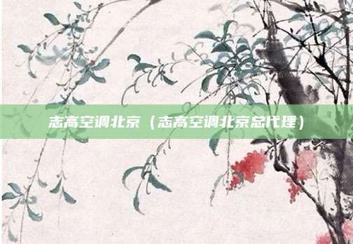 志高空调北京（志高空调北京总代理）