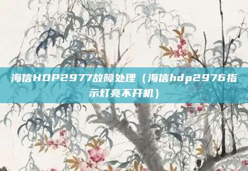 海信HDP2977故障处理(海信hdp2976指示灯亮不开机)