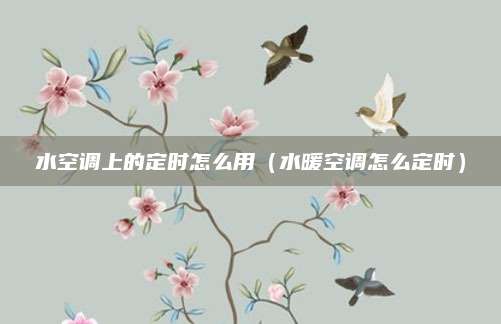 水空调上的定时怎么用（水暖空调怎么定时）