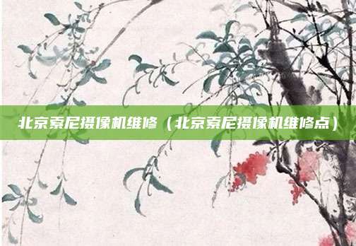 北京索尼摄像机维修（北京索尼摄像机维修点）