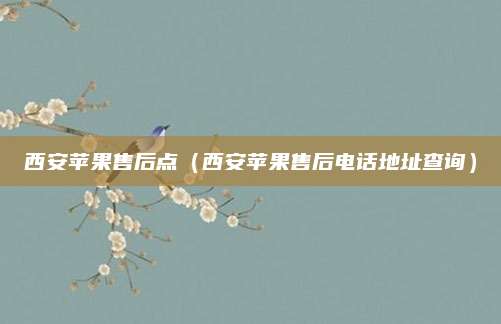 西安苹果售后点（西安苹果售后电话地址查询）