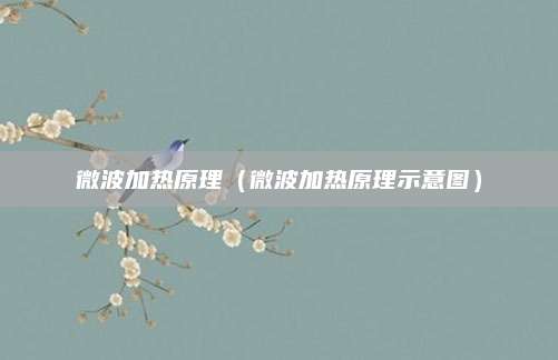 微波加热原理（微波加热原理示意图）