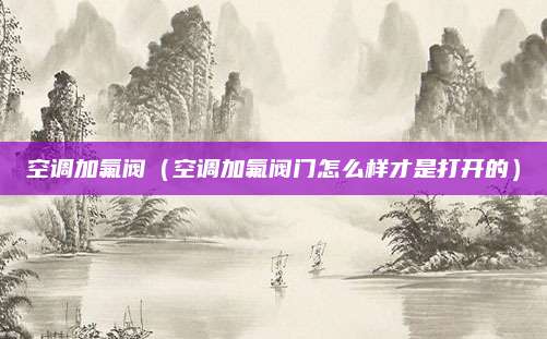 空调加氟阀(空调加氟阀门怎么样才是打开的)