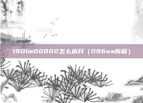 190lm00002怎么拆开(l196wa拆解)