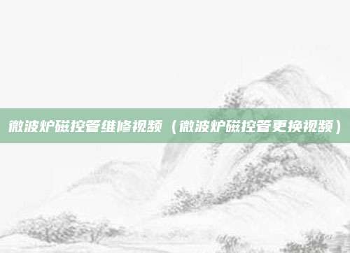微波炉磁控管维修视频(微波炉磁控管更换视频)