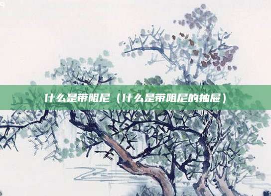 什么是带阻尼（什么是带阻尼的抽屉）