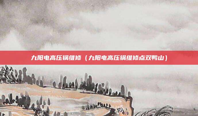 九阳电高压锅维修（九阳电高压锅维修点双鸭山）