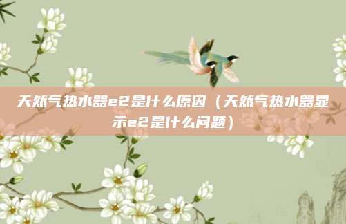 天然气热水器e2是什么原因（天然气热水器显示e2是什么问题）