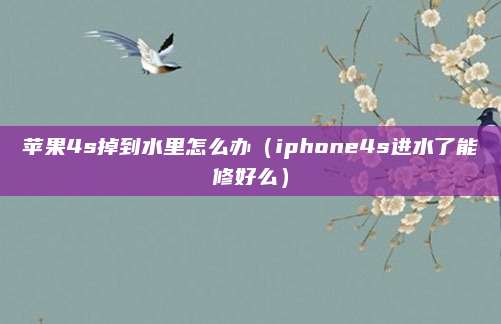 苹果4s掉到水里怎么办(iphone4s进水了能修好么)