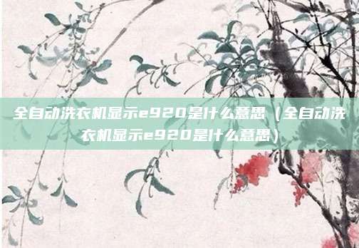 全自动洗衣机显示e920是什么意思(全自动洗衣机显示e920是什么意思)