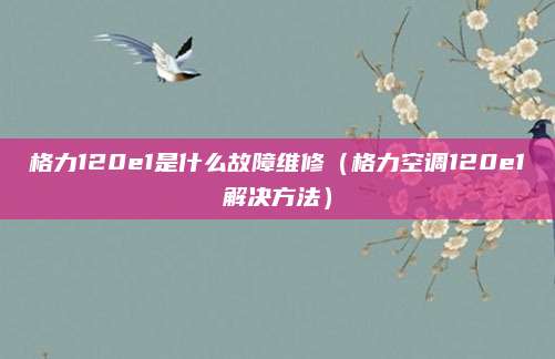 格力120e1是什么故障维修（格力空调120e1解决方法）