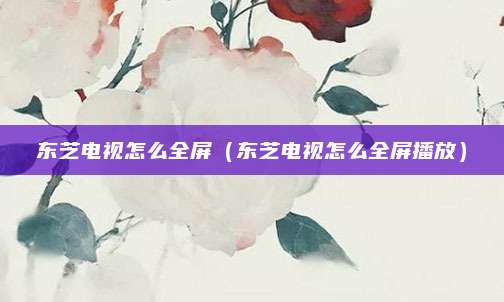 东芝电视怎么全屏(东芝电视怎么全屏播放)