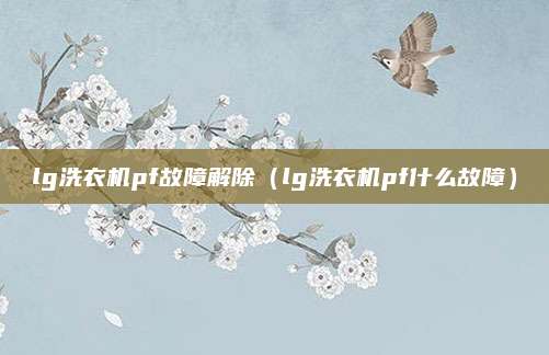 lg洗衣机pf故障解除（lg洗衣机pf什么故障）