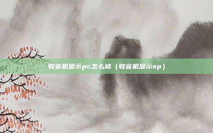 收音机显示pc怎么修（收音机显示sp）
