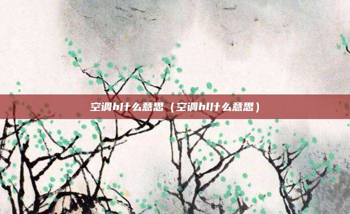 空调h什么意思（空调hl什么意思）