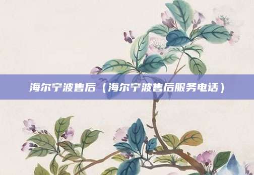 海尔宁波售后(海尔宁波售后服务电话)