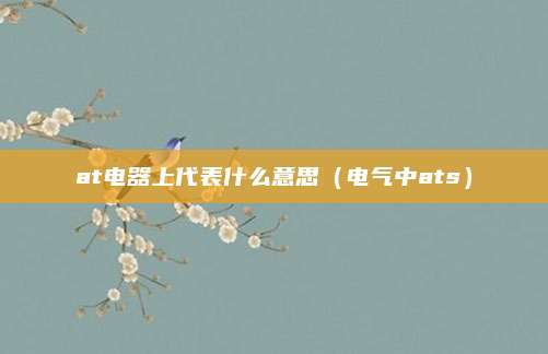 at电器上代表什么意思(电气中ats)