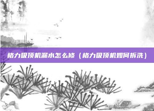 格力吸顶机漏水怎么修(格力吸顶机如何拆洗)