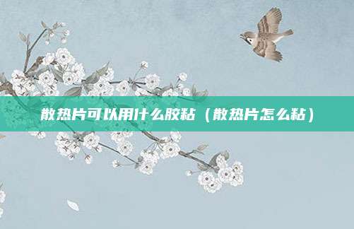 散热片可以用什么胶粘(散热片怎么粘)