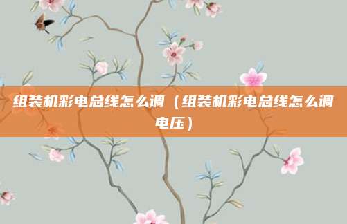 组装机彩电总线怎么调（组装机彩电总线怎么调电压）