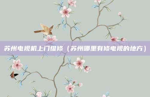 苏州电视机上门维修（苏州哪里有修电视的地方）