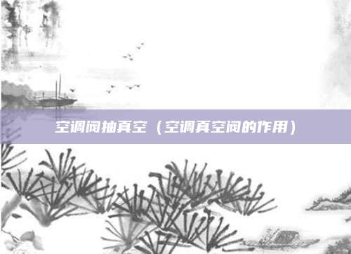 空调阀抽真空（空调真空阀的作用）
