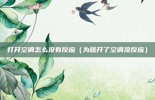打开空调怎么没有反应(为啥开了空调没反应)