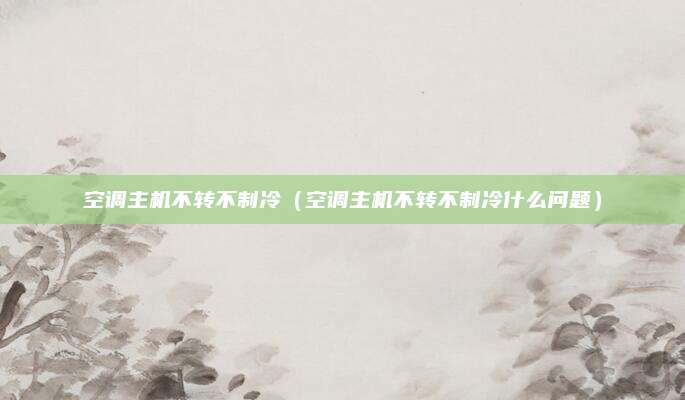 空调主机不转不制冷(空调主机不转不制冷什么问题)