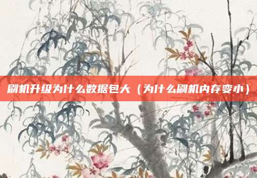 刷机升级为什么数据包大（为什么刷机内存变小）