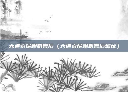 大连索尼相机售后(大连索尼相机售后地址)