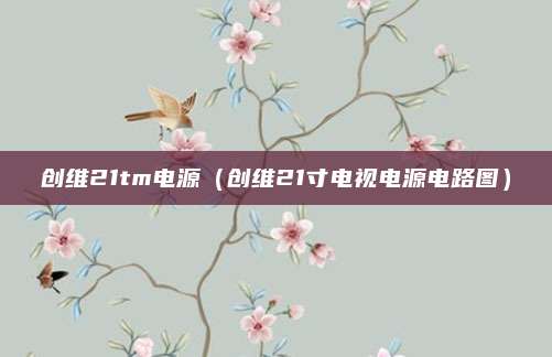 创维21tm电源（创维21寸电视电源电路图）
