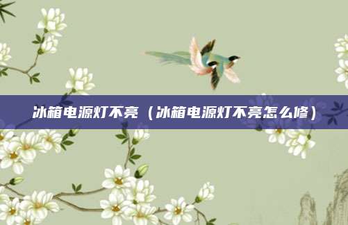 冰箱电源灯不亮(冰箱电源灯不亮怎么修)