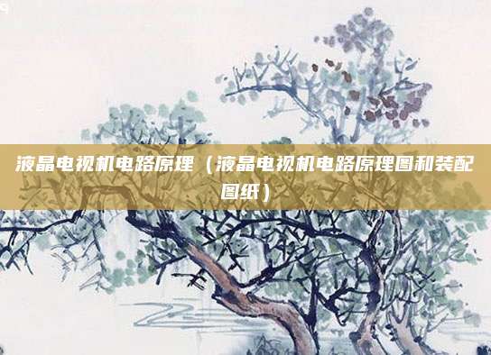 液晶电视机电路原理(液晶电视机电路原理图和装配图纸)