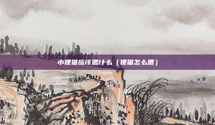 小狸猫应该喂什么(狸猫怎么喂)