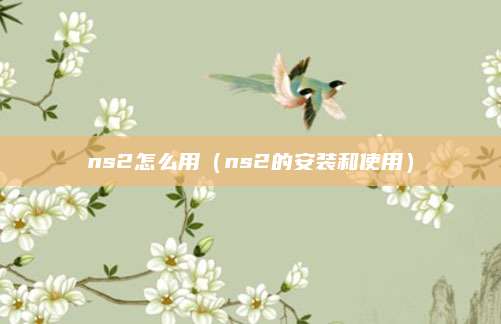 ns2怎么用（ns2的安装和使用）