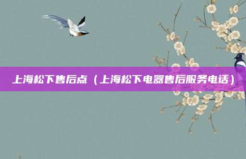 上海松下售后点（上海松下电器售后服务电话）