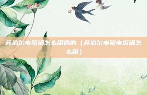 苏泊尔电磁锅怎么用的的(苏泊尔电磁电饭锅怎么用)