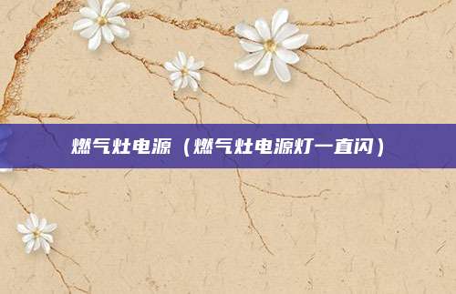 燃气灶电源(燃气灶电源灯一直闪)