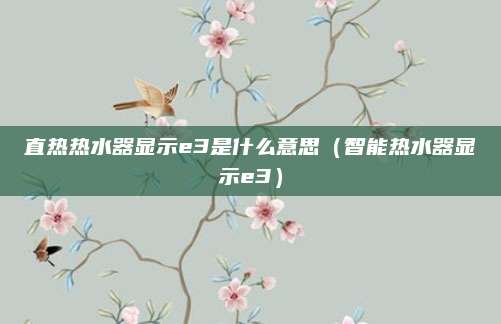 直热热水器显示e3是什么意思(智能热水器显示e3)